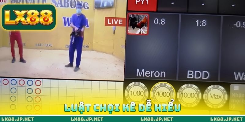 Luật chọi kê dễ hiểu