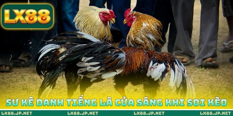 Thủ Thuật Đá Gà Thomo - 5 Cách Săn Thần Kê Từ Cao Thủ 4 Sư kê danh tiếng là cửa sáng khi soi kèo