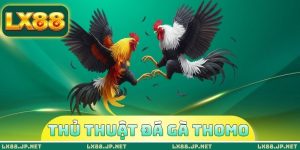 thủ thuật đá gà Thomo