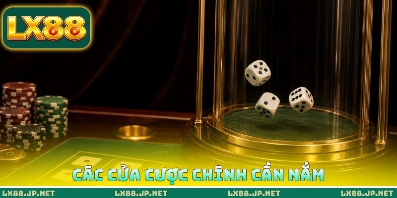 Các cửa cược chính cần nắm Các cửa cược chính cần nắm