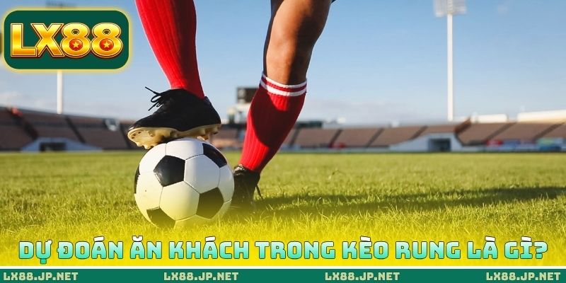 Cách dự đoán ăn khách trong kèo rung là gì? Cách dự đoán ăn khách trong kèo rung là gì?