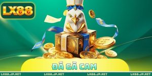 Đá Gà Cam