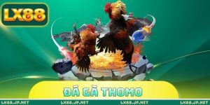 Đá Gà Thomo