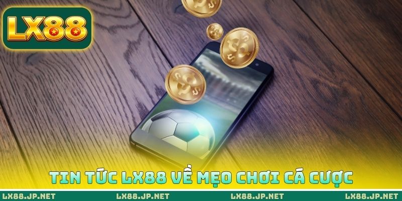 Tin tức LX88 về mẹo chơi cá cược Tin tức LX88 về mẹo chơi cá cược